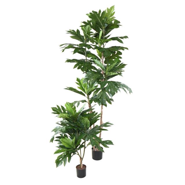 Artocarpus Artificiel Altilis (arbre à Pain)