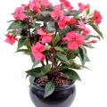 Impatiens Artificiel Piquet
