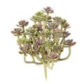 Succulente *34 Artificielle