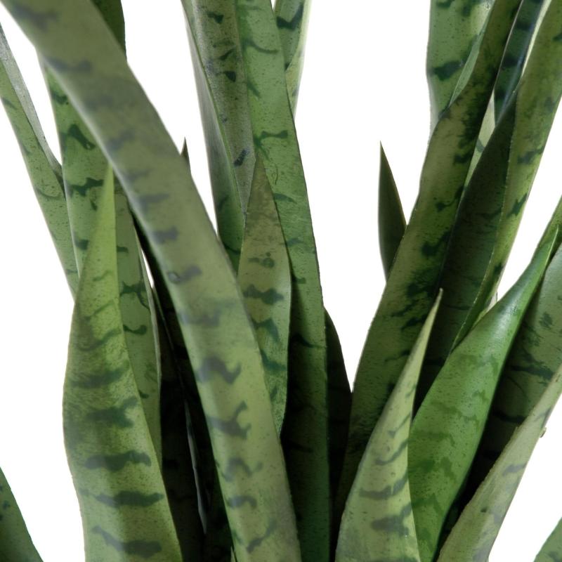 Sansevieria Artificiel