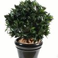 Laurier Artificiel Boule Luxe