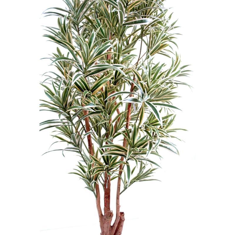 Dracaena Artificiel Reflexa