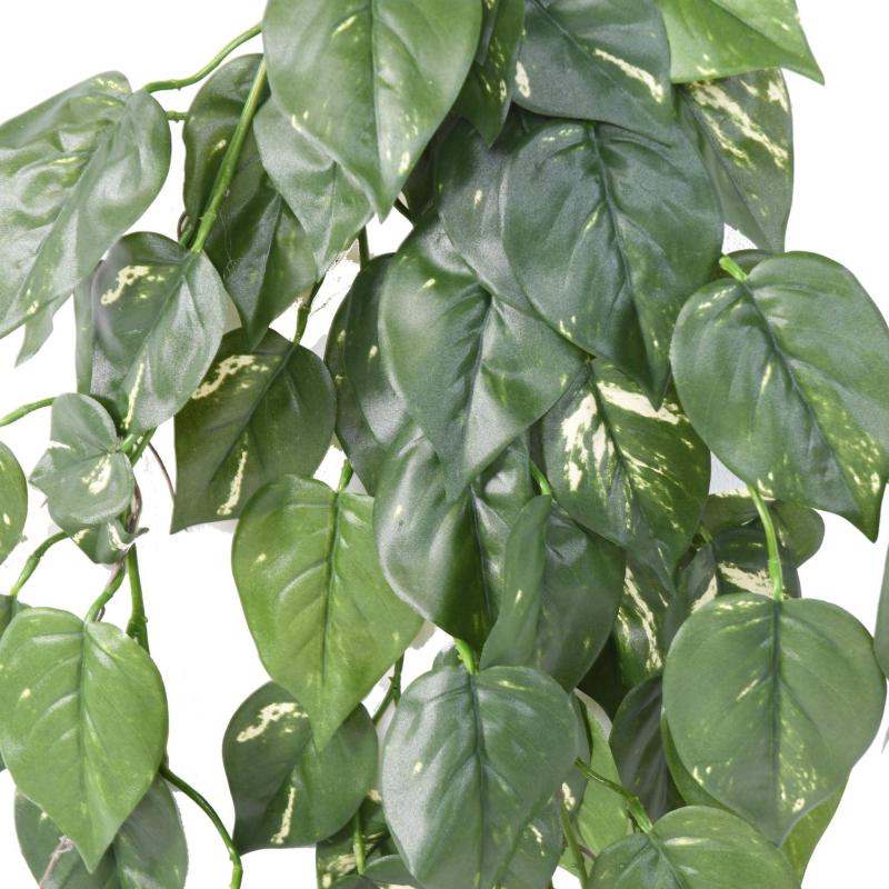 Pothos Artificiel Chute UV
