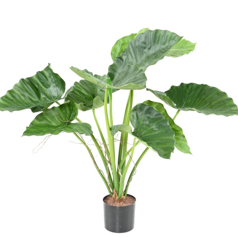 Alocasia Artificiel Calidora