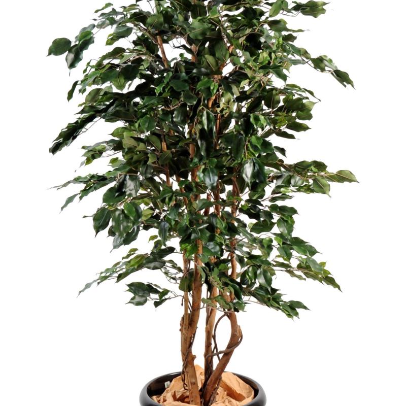 Ficus Artificiel Exotica