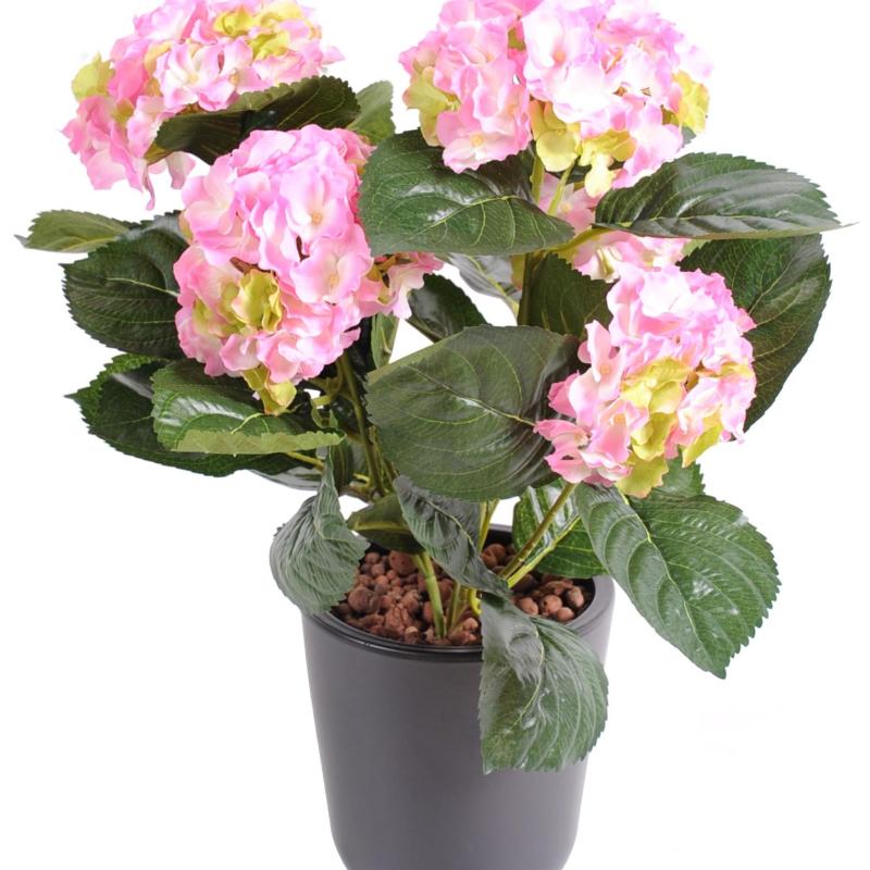 Hortensia Artificiel 3*2