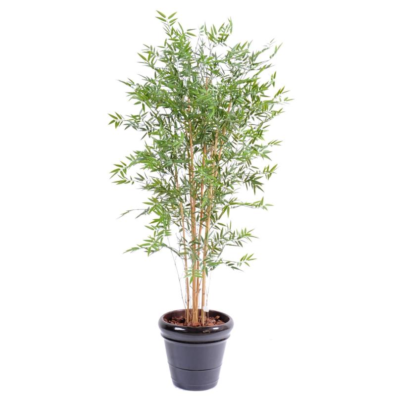 Bambou Artificiel Japanese PLAST