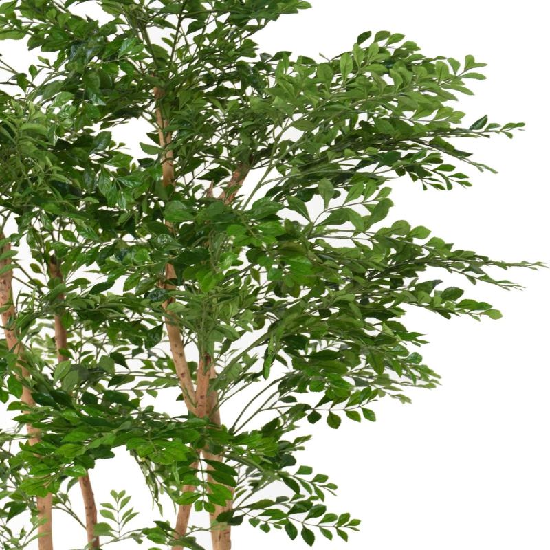 Acacia Artificiel