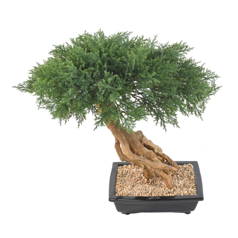 Bonsai Juniperus Artificiel en Coupe