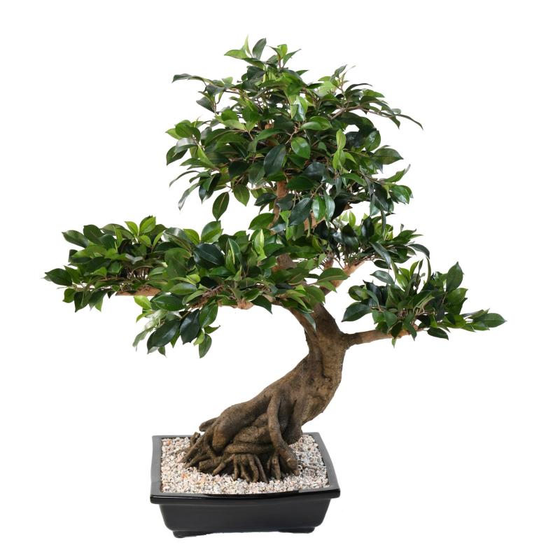 Bonsai Artificiel Ficus en Coupe