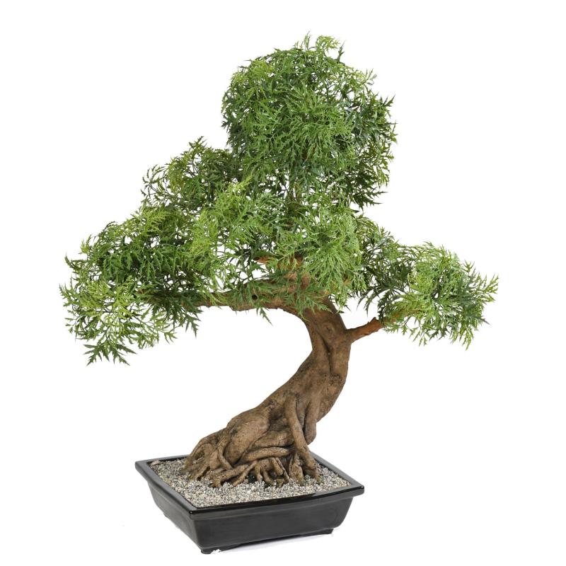 Bonsai Artificiel Aralia en Coupe