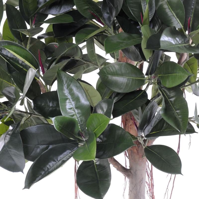Rubber Plant Artificiel TREE S