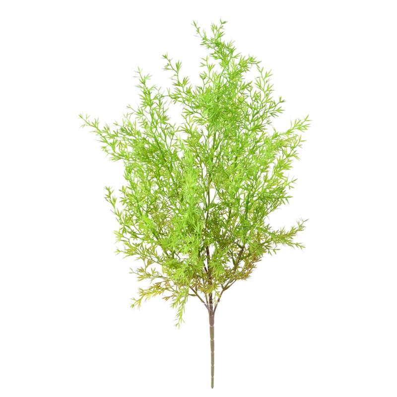 Asparagus Artificiel Piquet
