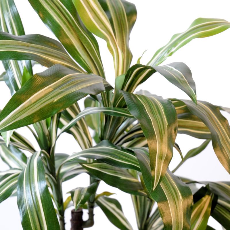 Dracaena Artificiel Fragrans *3