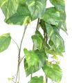 Pothos Artificiel Chute Large