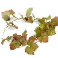 Vigne Artificielle Guirlande