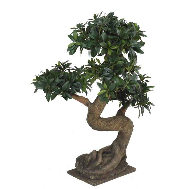 Bonsai Euonymus Japonicus Ficus Artificiel