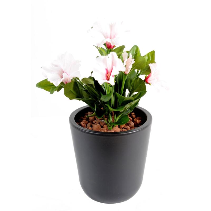 Petunia Artificiel *7