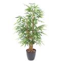 Bambou Artificiel Buddha TREE