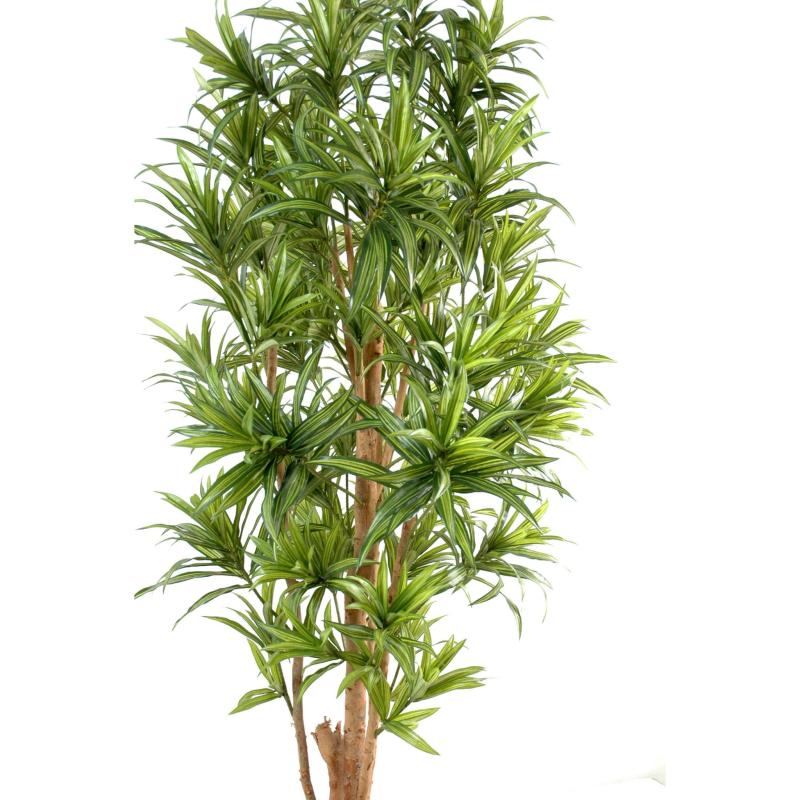 Dracaena Artificiel Reflexa