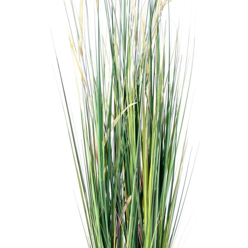 Papyrus Artificiel Scirpus Validus
