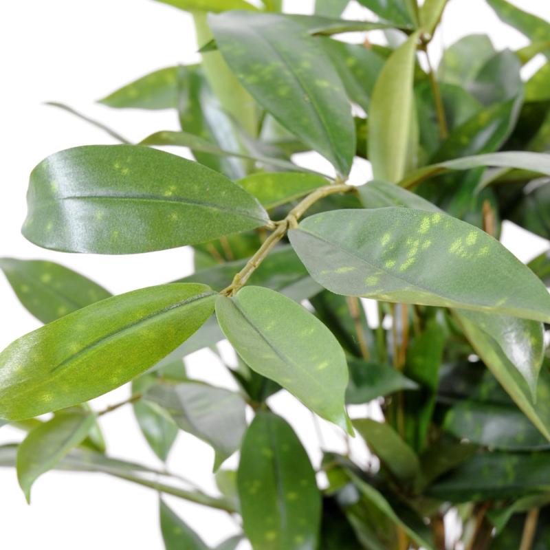 Dracena Artificiel Surculosa Pot