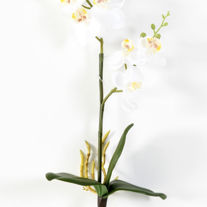Phalaenopsis Artificielle Double