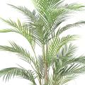 Areca PLAST Artificiel