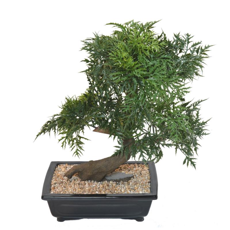 Bonsai Artificiel Aralia en Coupe