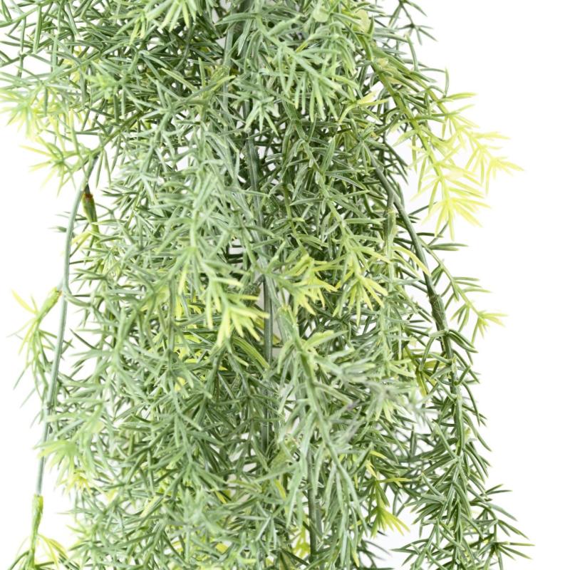 Asparagus Artificiel Chute