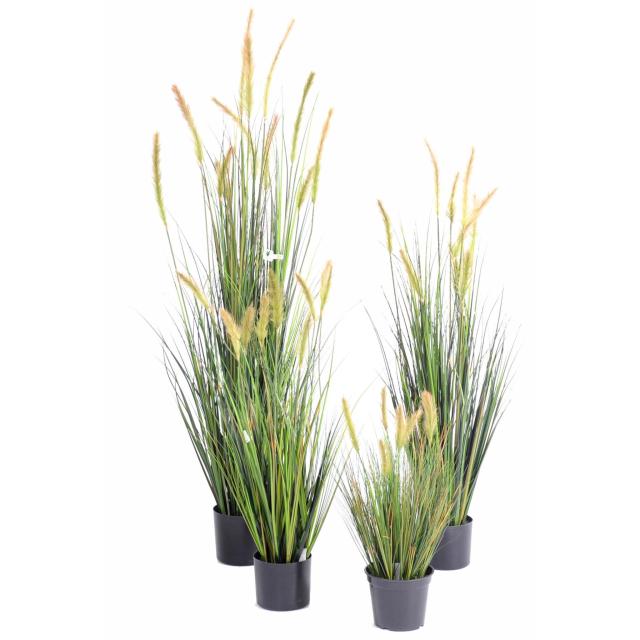 Foxtail Artificiel