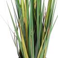 Onion Artificiel Grass Large