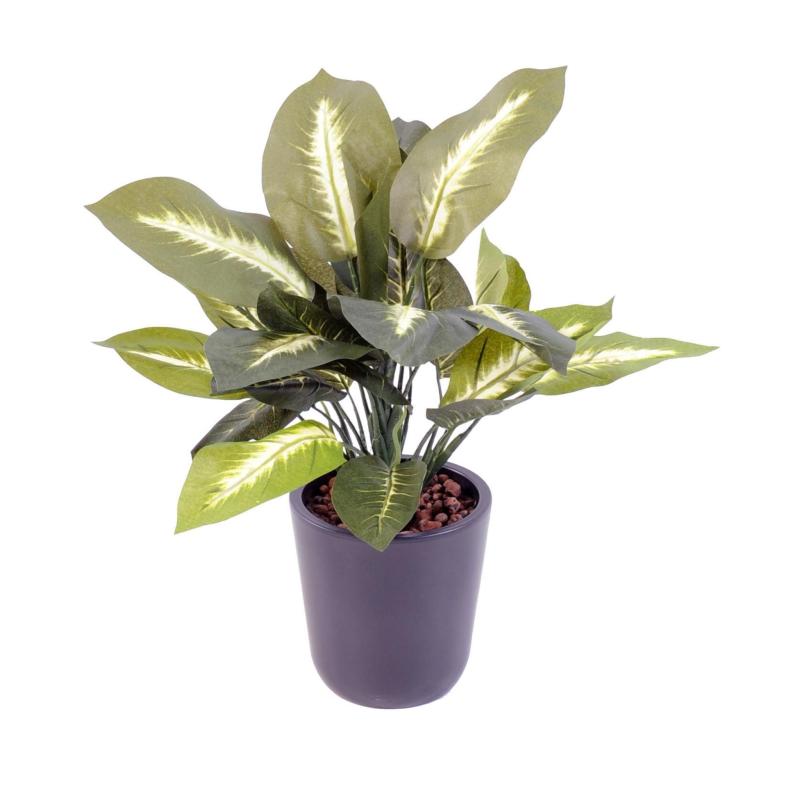 Dieffenbachia Artificiel en Piquet