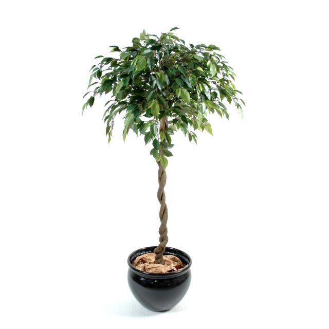 Ficus Artificiel Boule Natasja