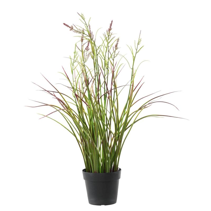 Acorus Artificiel Fleuri Pot