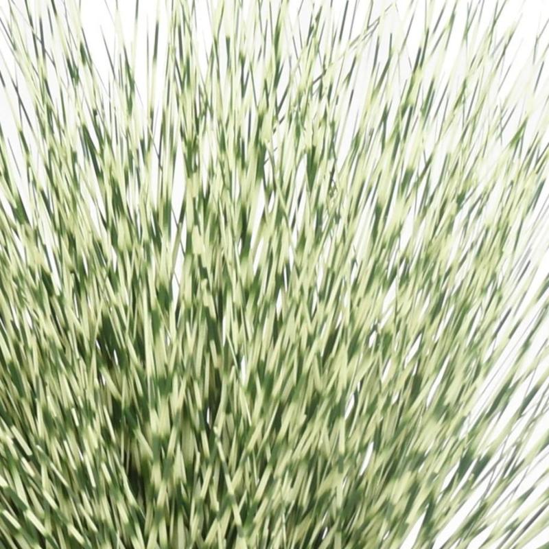 Miscanthus Artificiel Zebrina Rond 55