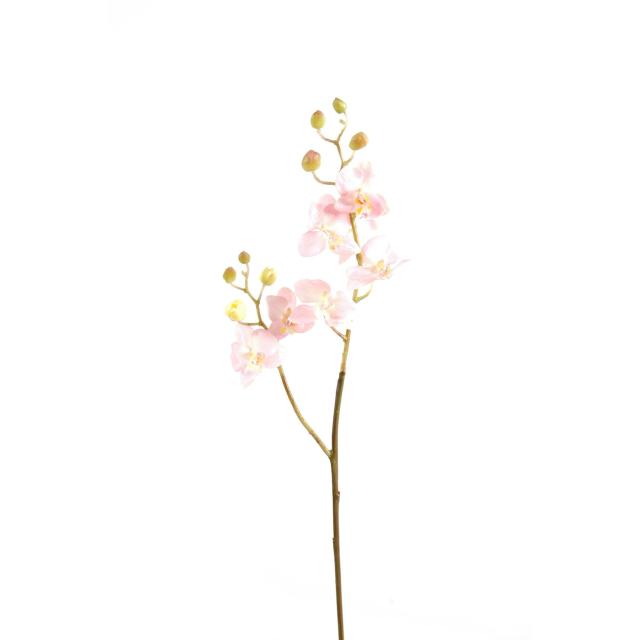 Orchidée Artificielle Phalaenopsis m Tige