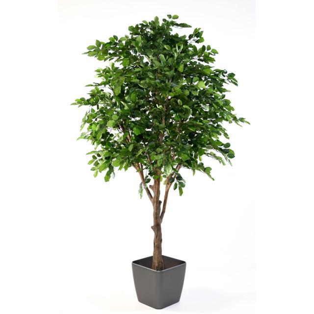 Hetre Artificiel 280cm
