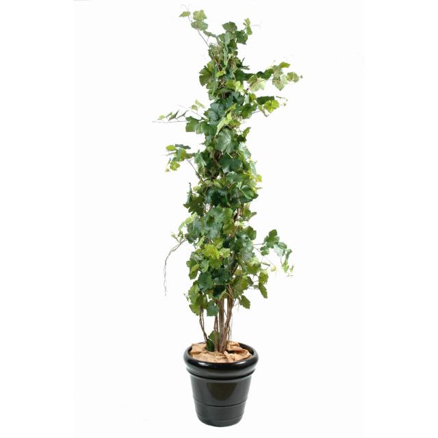 Vigne Artificielle TREE