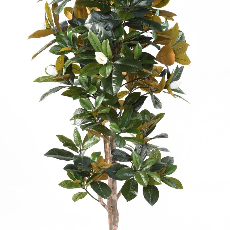 Magnolia Artificiel
