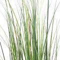Onion Grass Artificiel Bambou
