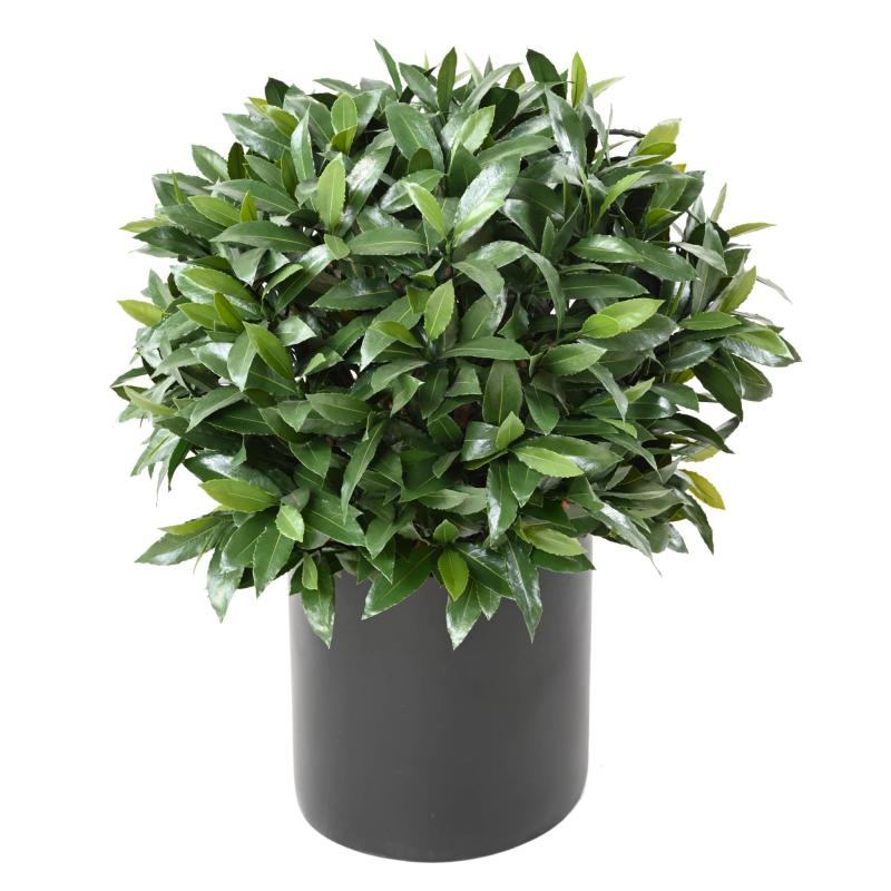 Laurier Artificiel Boule Nobilis