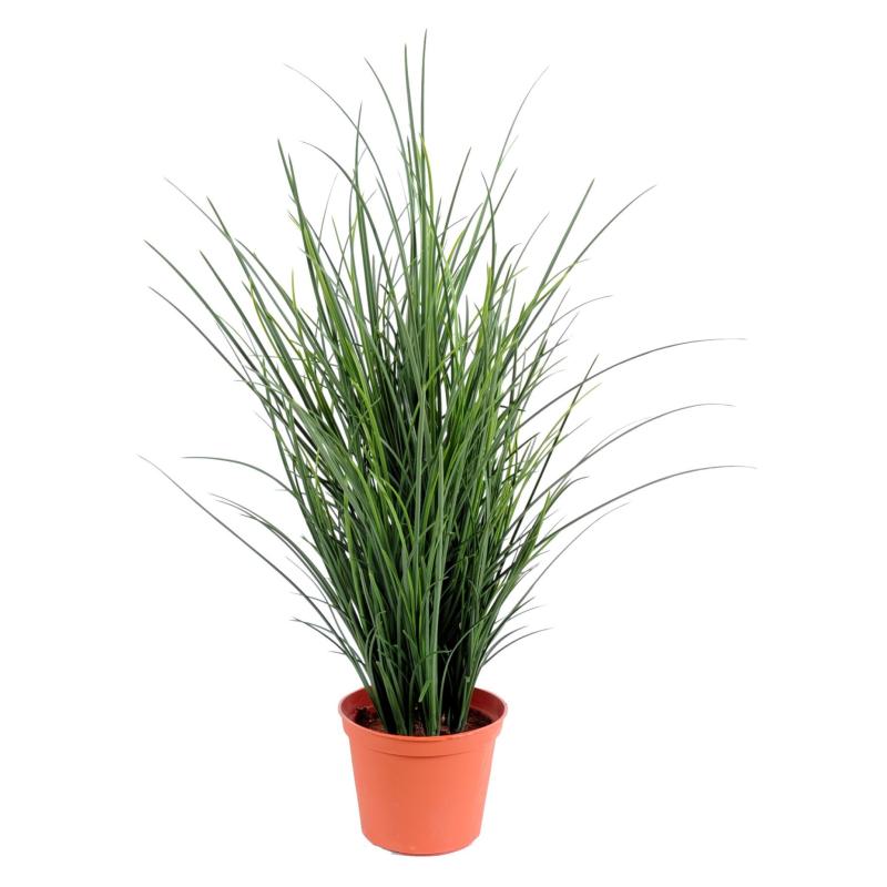 Herbe Artificielle Fresh Touch Fine Pot