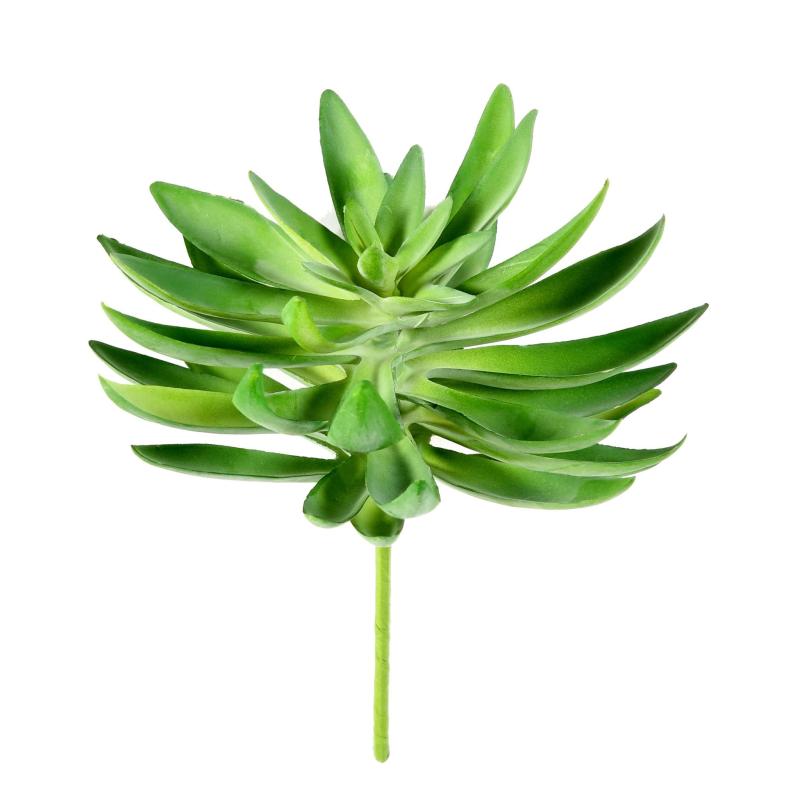 Succulente Artificielle 16cm