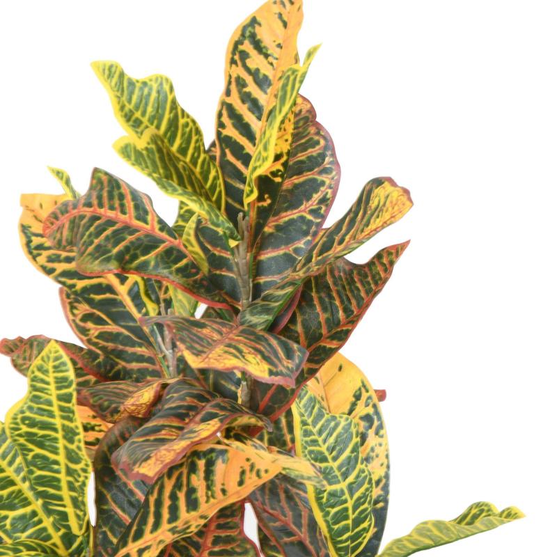 Croton 100 Artificiel
