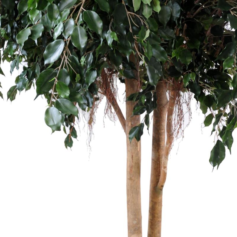 Ficus artificiel EXOTICA GEANT