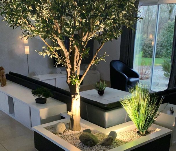Une présence végétale dans votre intérieur